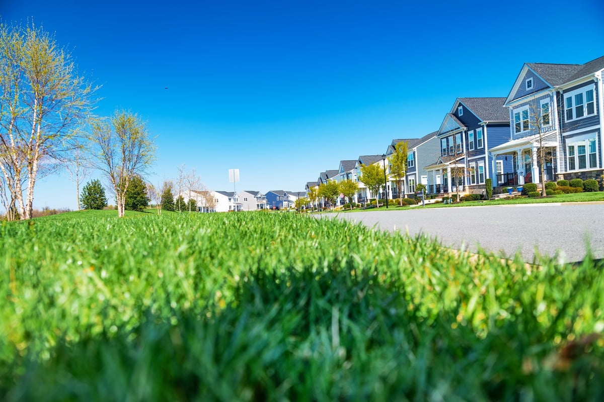 Row of modern rental investment homes for cash-out refinance guide